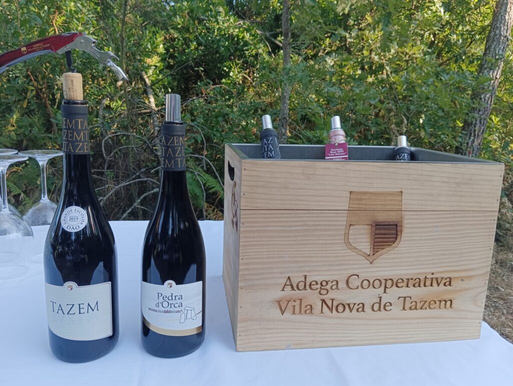  Adega de Vila Nova de Tazem apresenta novos vinhos em dia aberto - Jornal do Centro