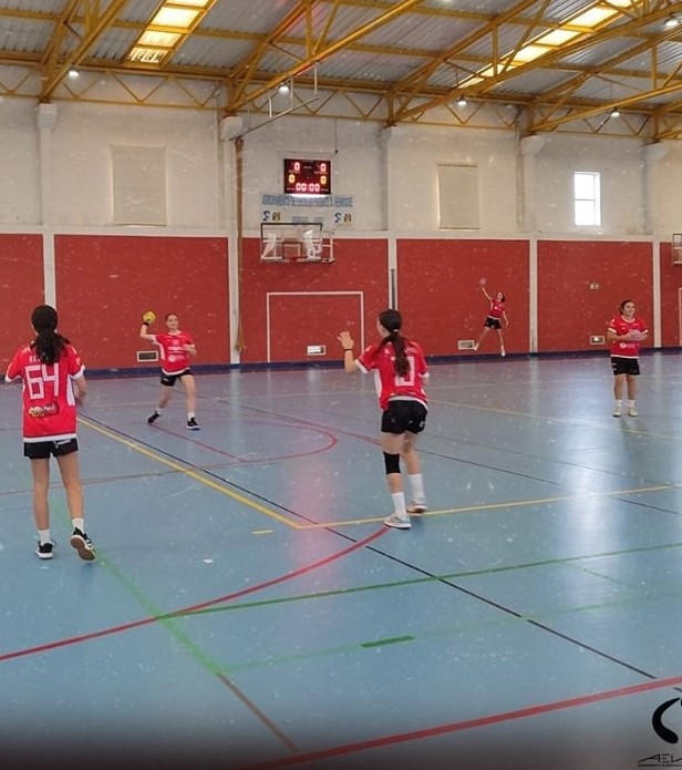  Escola de Andebol Dr. Azeredo Perdigão (Viseu) organiza segunda edição de torneio - Jornal do Centro