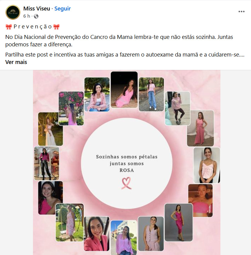  Instituições de Viseu assinalam Dia Nacional de Luta Contra o Cancro da Mama - Jornal do Centro