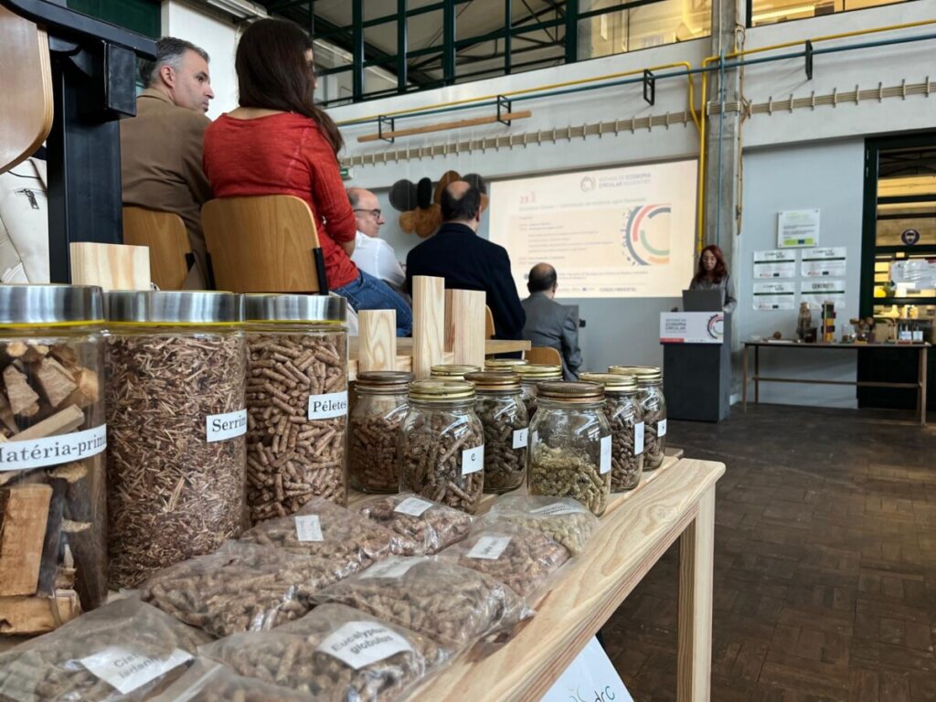 Plantas aromáticas, figos ou pneus fazem parte da economia circular do Politécnico de Viseu - Jornal do Centro