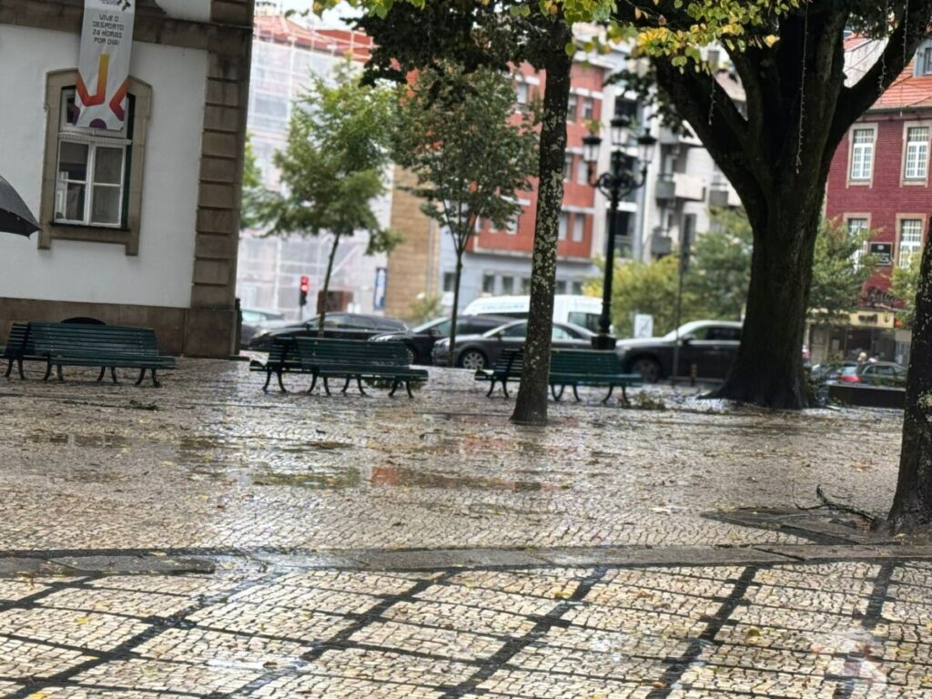  Proteção Civil emite alerta por causa da chuva e pede que se evitem deslocações - Jornal do Centro