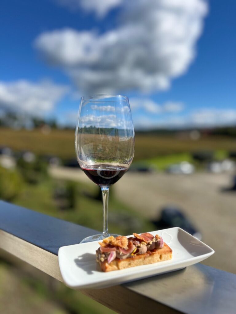  Seis novos vinhos e seis chefes na Quinta de Lemos para celebrar o Dão - Jornal do Centro