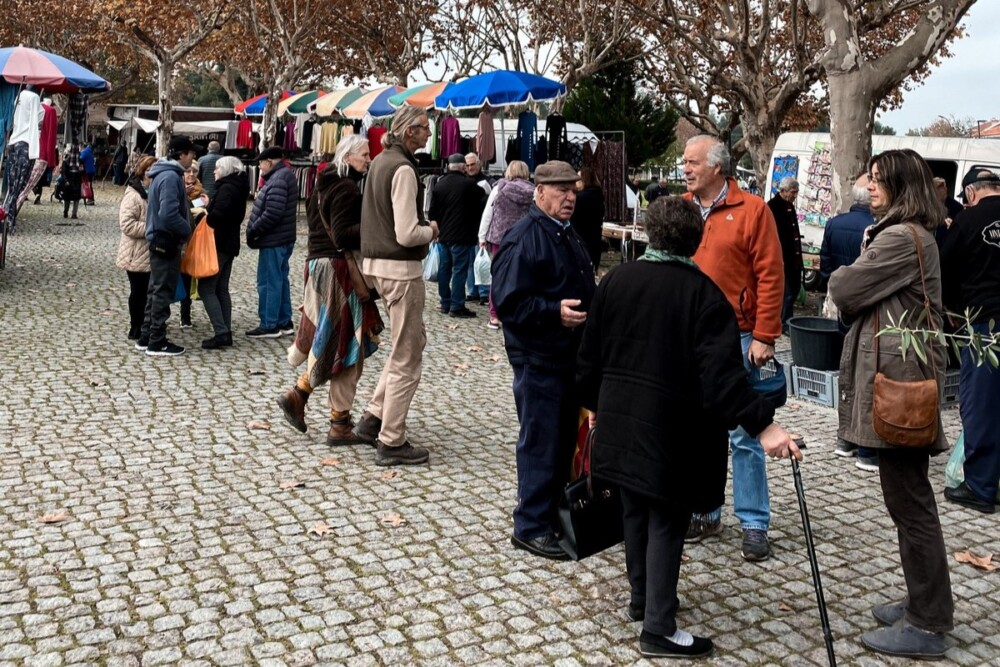  Feira semanal de Tondela regressa ao Parque Urbano - Jornal do Centro