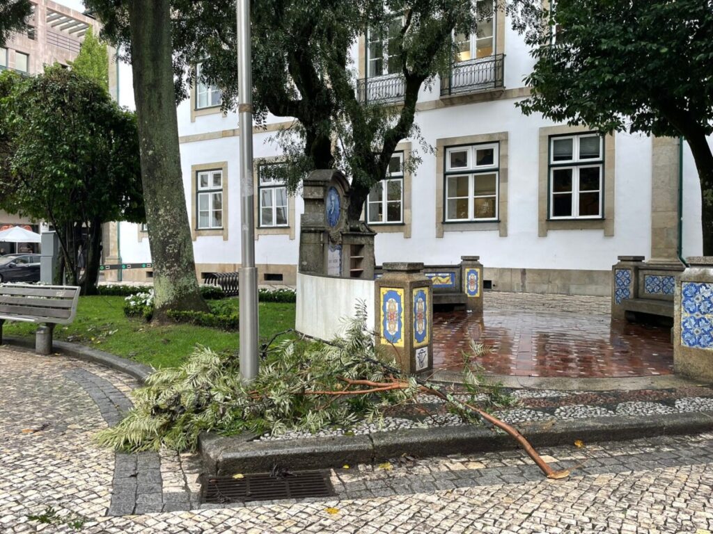  Tempestade Kirk: Mais de 30 quedas de ramos e árvores em Viseu e estradas cortadas - Jornal do Centro