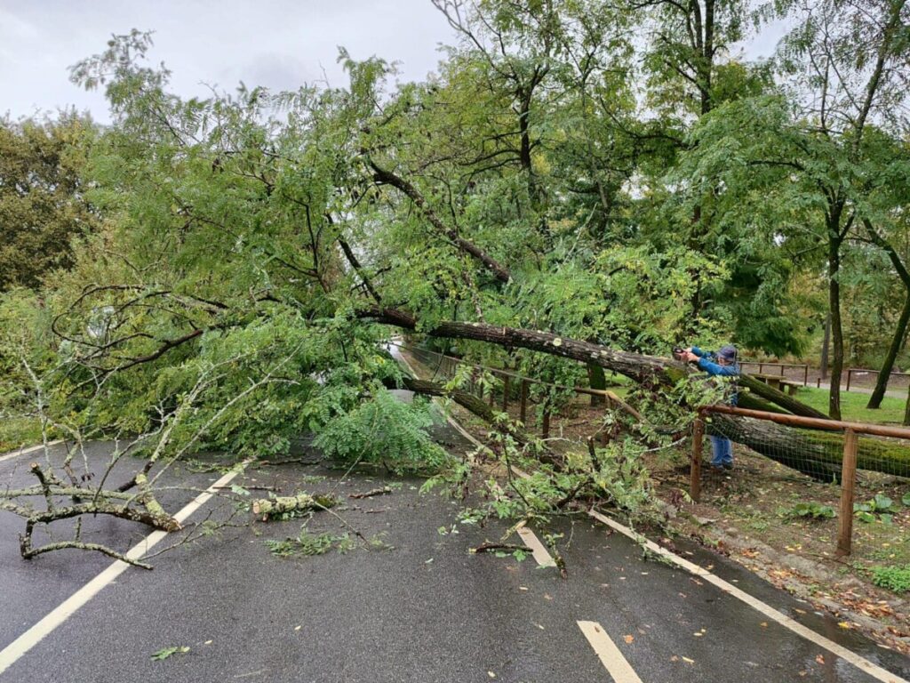  Mais de 100 ocorrências devido à chuva. Viseu e São Pedro do Sul são os concelhos mais afetados - Jornal do Centro