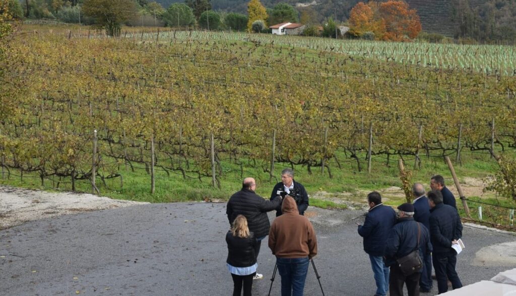  Visitas a adegas e provas de vinhos para assinalar Dia do Enoturismo em Nelas e Penalva do Castelo - Jornal do Centro