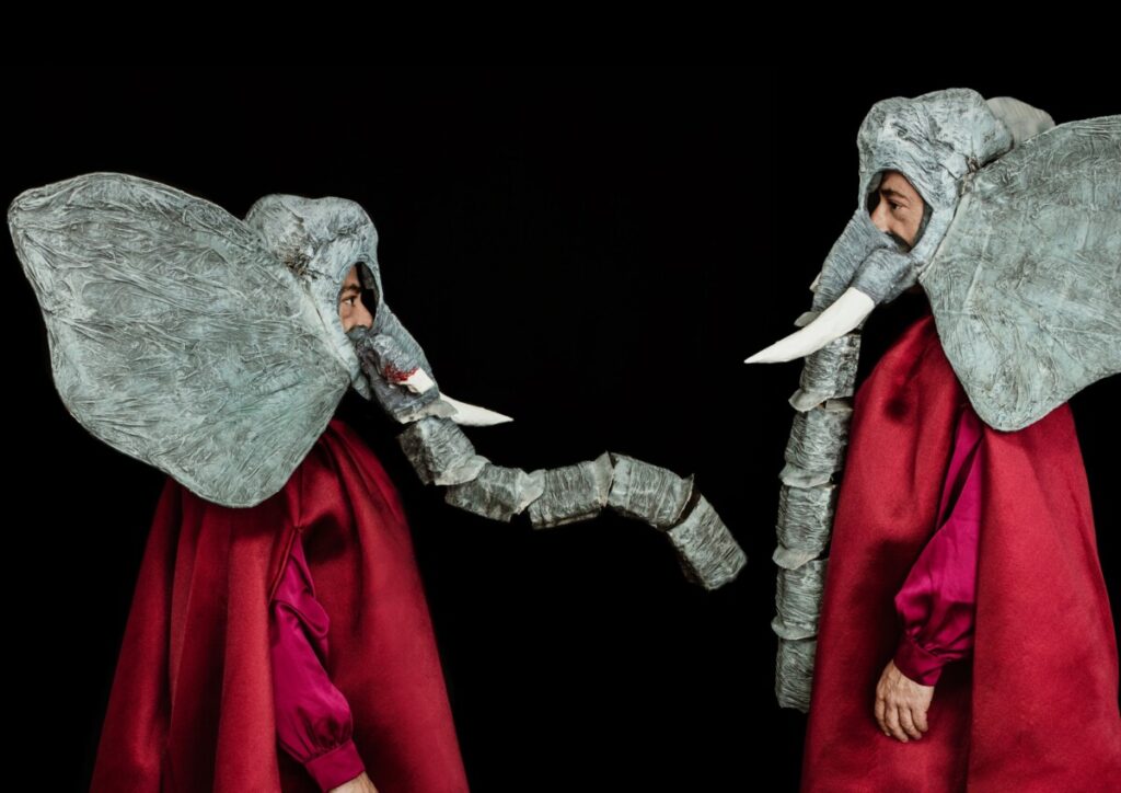  Peça de teatro ambiental apresentada este sábado no Museu Grão Vasco em Viseu - Jornal do Centro