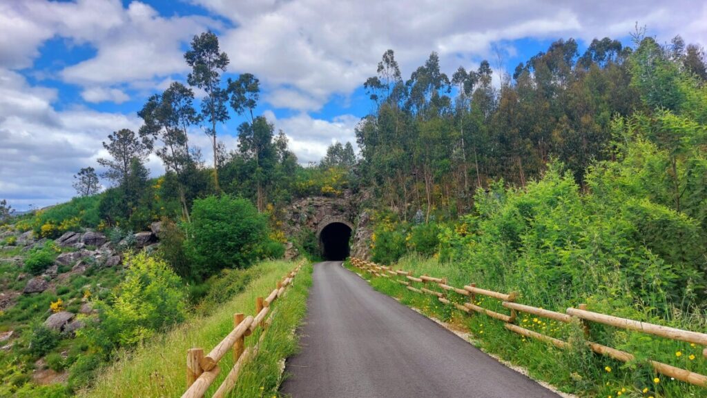  Ecopista do Vouga recebe caminhada a 24 de novembro - Jornal do Centro