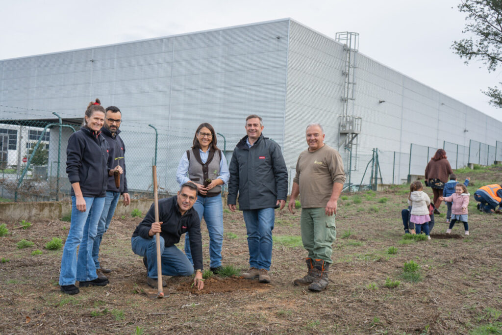  Mais de 100 carvalhos plantados em Tondela - Jornal do Centro