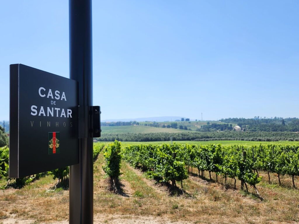  Global Wines distinguidos pela sustentabilidade no setor vitivinícola - Jornal do Centro