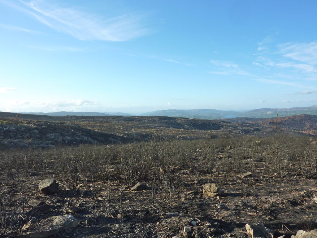  História do fogo nas Serras da Lapa e Leomil: Colóquio em Sernancelhe reflete sobre décadas de incêndios rurais e a crise dos grandes fogos - Jornal do Centro