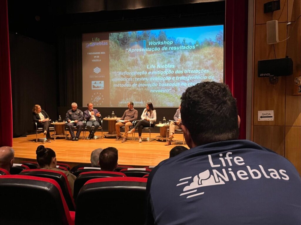  Projeto que aproveita nevoeiro e investe na reflorestação chega à região de Viseu e ao país - Jornal do Centro