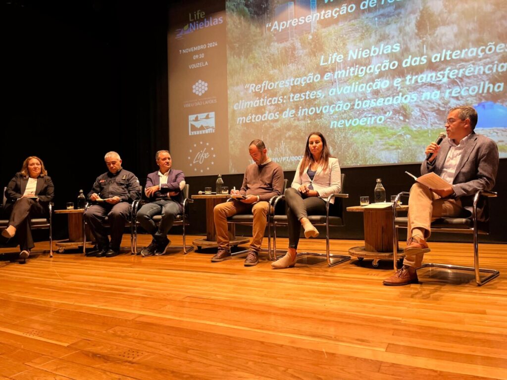  Projeto que aproveita nevoeiro e investe na reflorestação chega à região de Viseu e ao país - Jornal do Centro