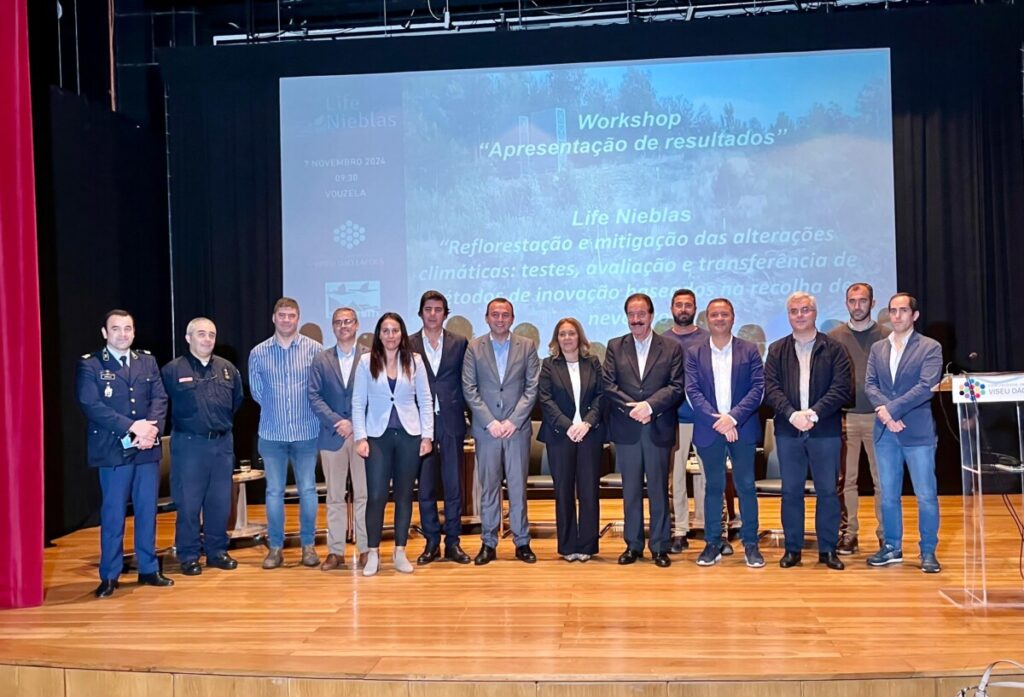 Projeto que aproveita nevoeiro e investe na reflorestação chega à região de Viseu e ao país - Jornal do Centro