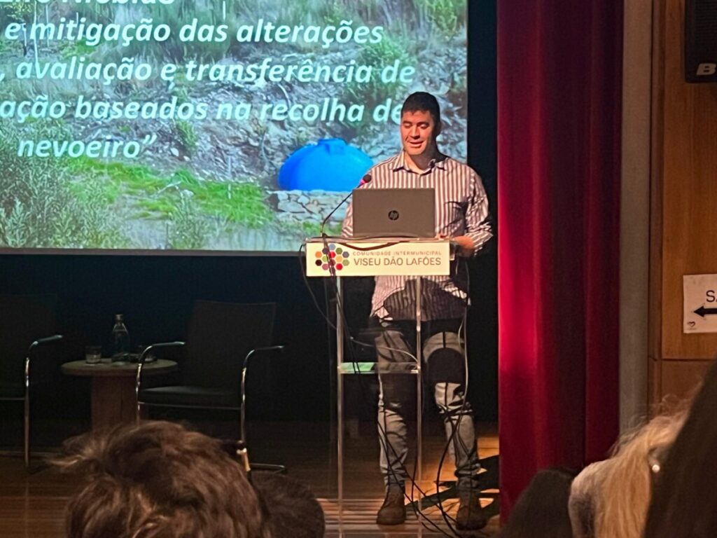  Projeto que aproveita nevoeiro e investe na reflorestação chega à região de Viseu e ao país - Jornal do Centro