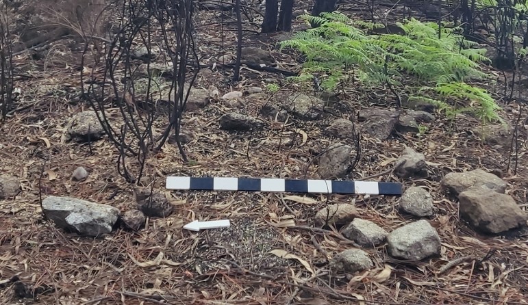  Túmulo megalítico descoberto em Carregal do Sal - Jornal do Centro