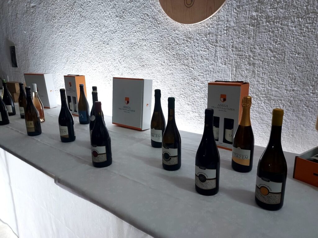  Adega de Vila Nova de Tazem lança dois novos vinhos - Jornal do Centro