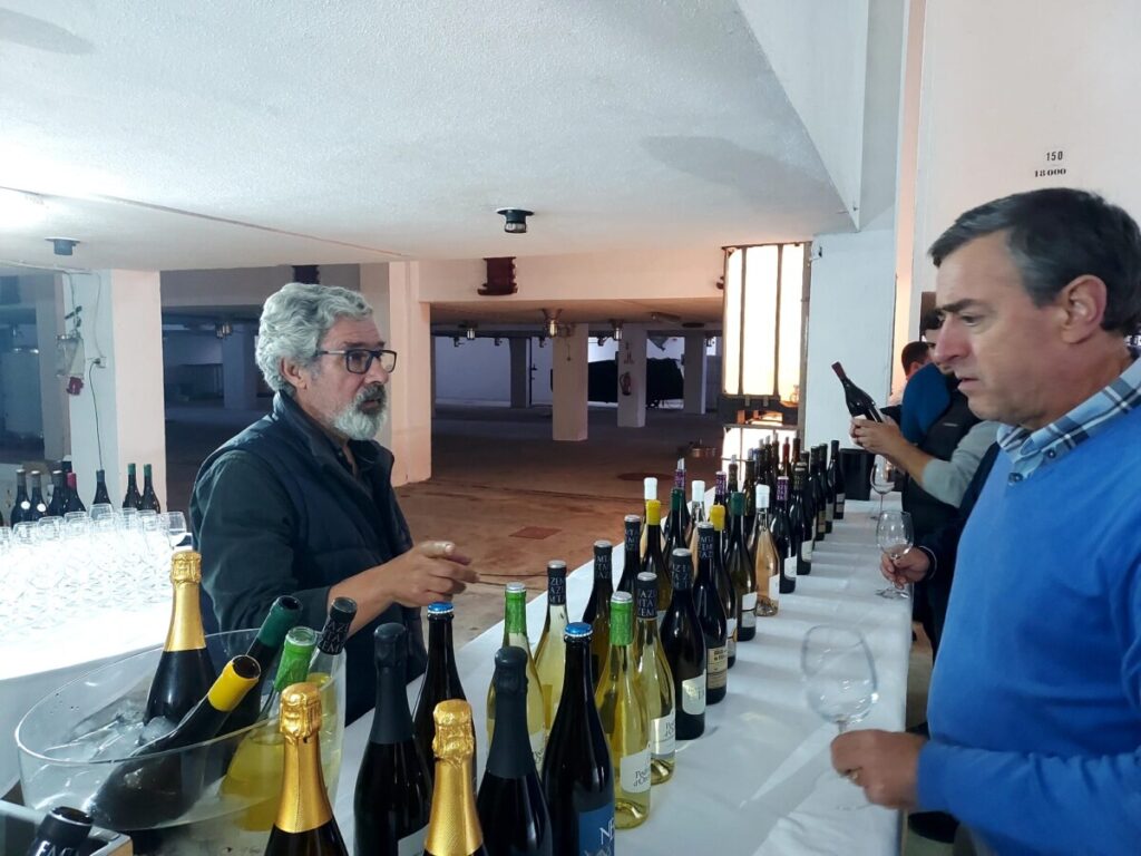  Adega de Vila Nova de Tazem lança dois novos vinhos - Jornal do Centro