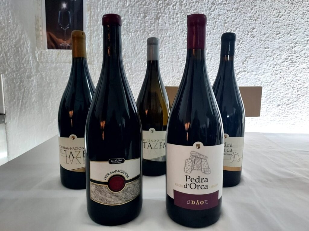  Adega de Vila Nova de Tazem lança dois novos vinhos - Jornal do Centro