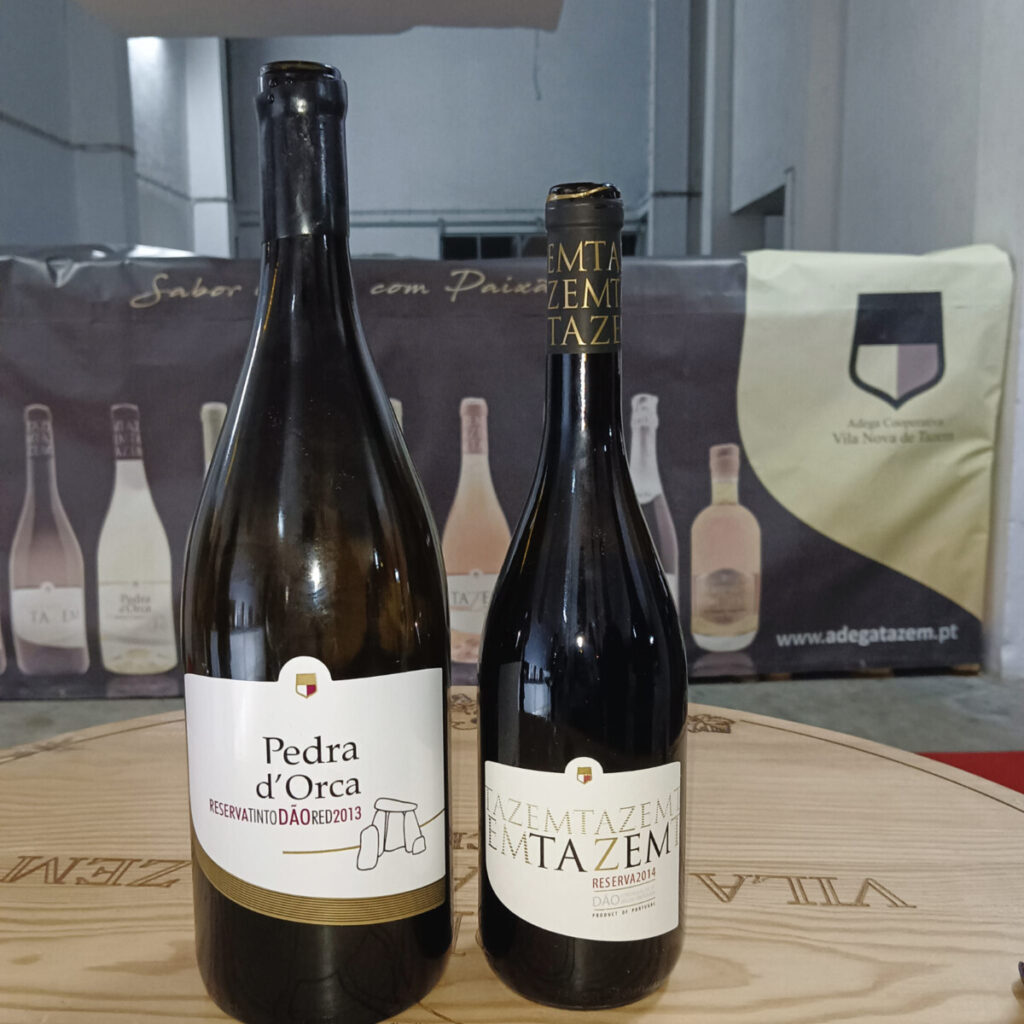  Adega de Vila Nova de Tazem lança dois novos vinhos - Jornal do Centro