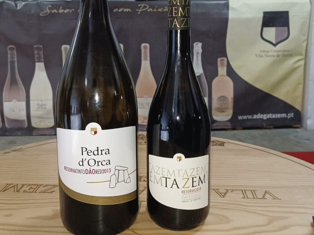  Adega de Vila Nova de Tazem lança dois novos vinhos - Jornal do Centro