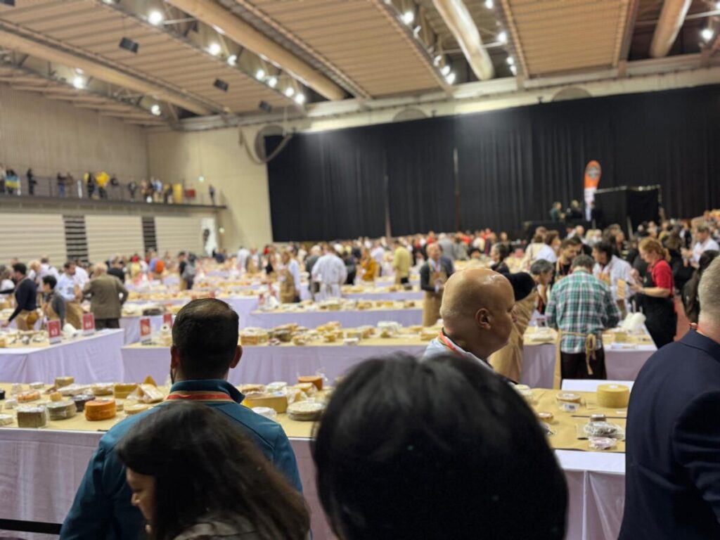  Até domingo, somos todos “afinadores” de queijo no maior concurso do mundo que decorre em Viseu - Jornal do Centro