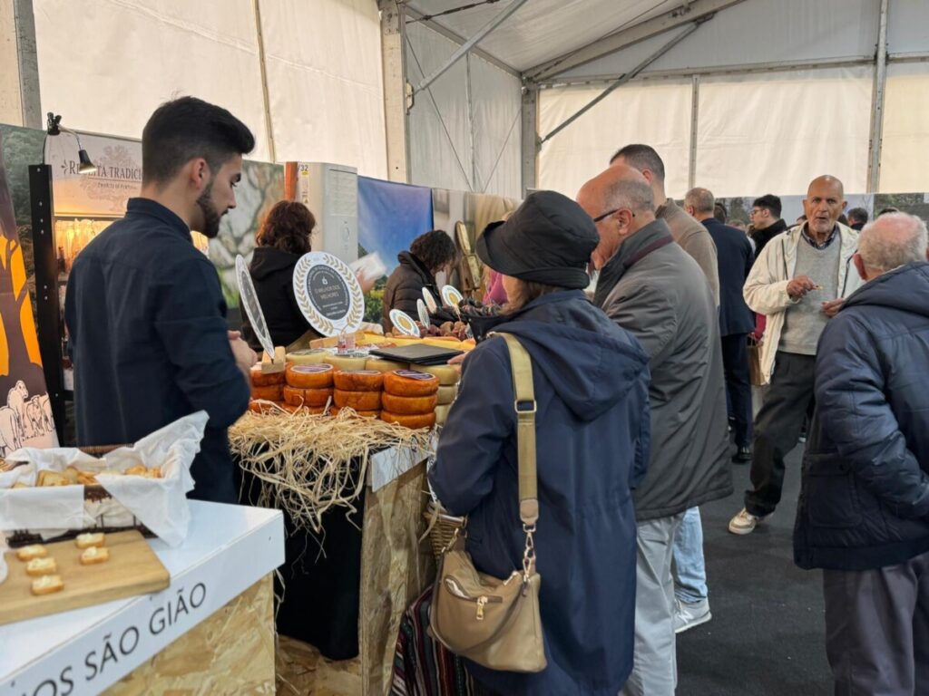  Até domingo, somos todos “afinadores” de queijo no maior concurso do mundo que decorre em Viseu - Jornal do Centro
