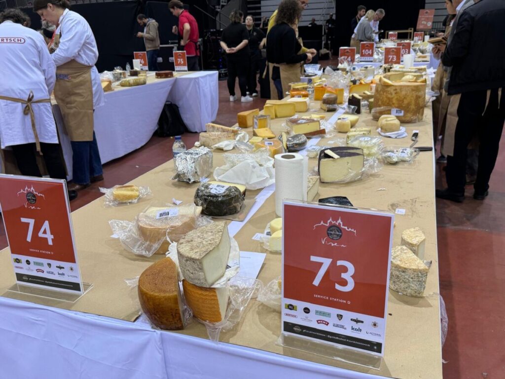  Até domingo, somos todos “afinadores” de queijo no maior concurso do mundo que decorre em Viseu - Jornal do Centro
