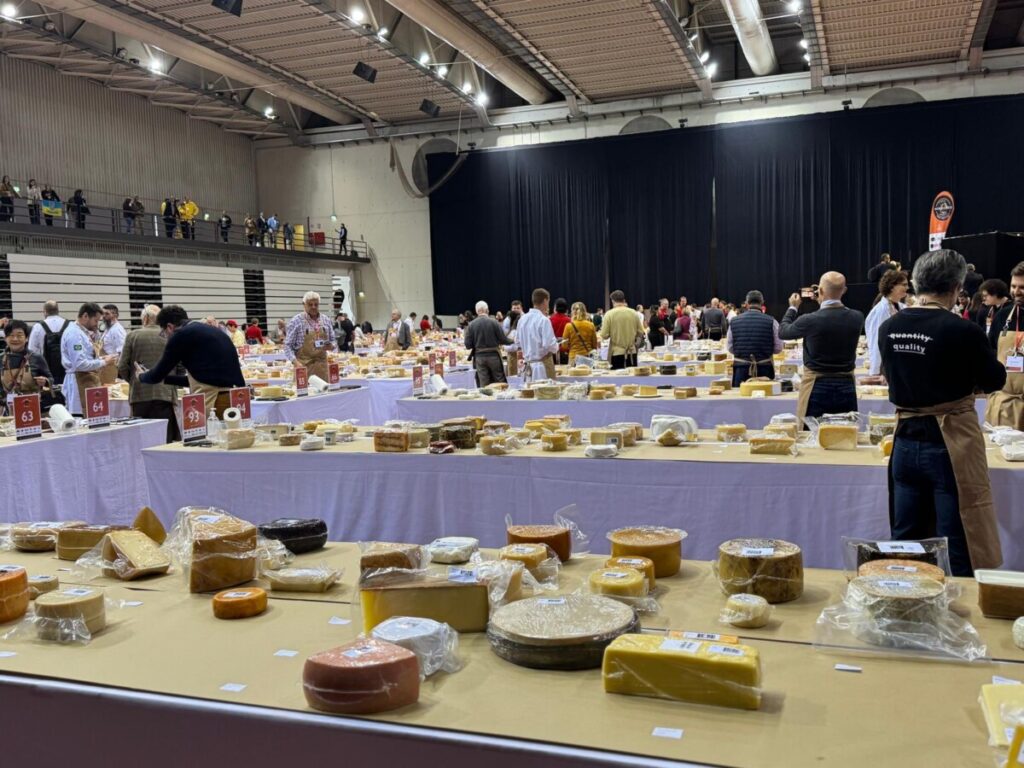  Até domingo, somos todos “afinadores” de queijo no maior concurso do mundo que decorre em Viseu - Jornal do Centro