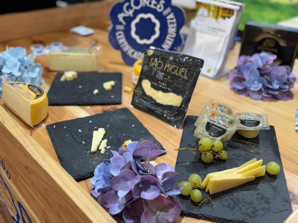  Até domingo, somos todos “afinadores” de queijo no maior concurso do mundo que decorre em Viseu - Jornal do Centro