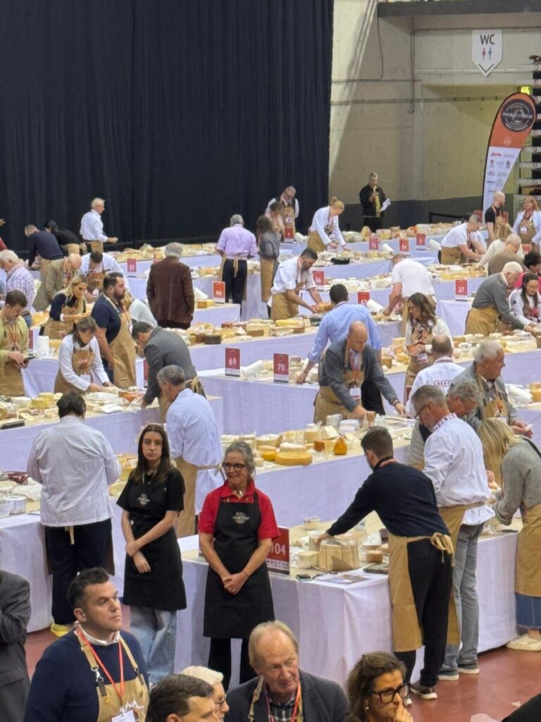  E o melhor queijo do mundo é da Soalheira (Fundão) dita concurso que decorre em Viseu - Jornal do Centro