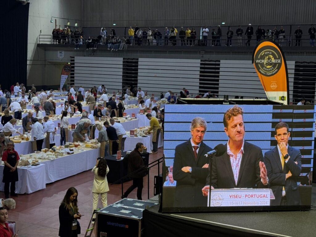  Até domingo, somos todos “afinadores” de queijo no maior concurso do mundo que decorre em Viseu - Jornal do Centro