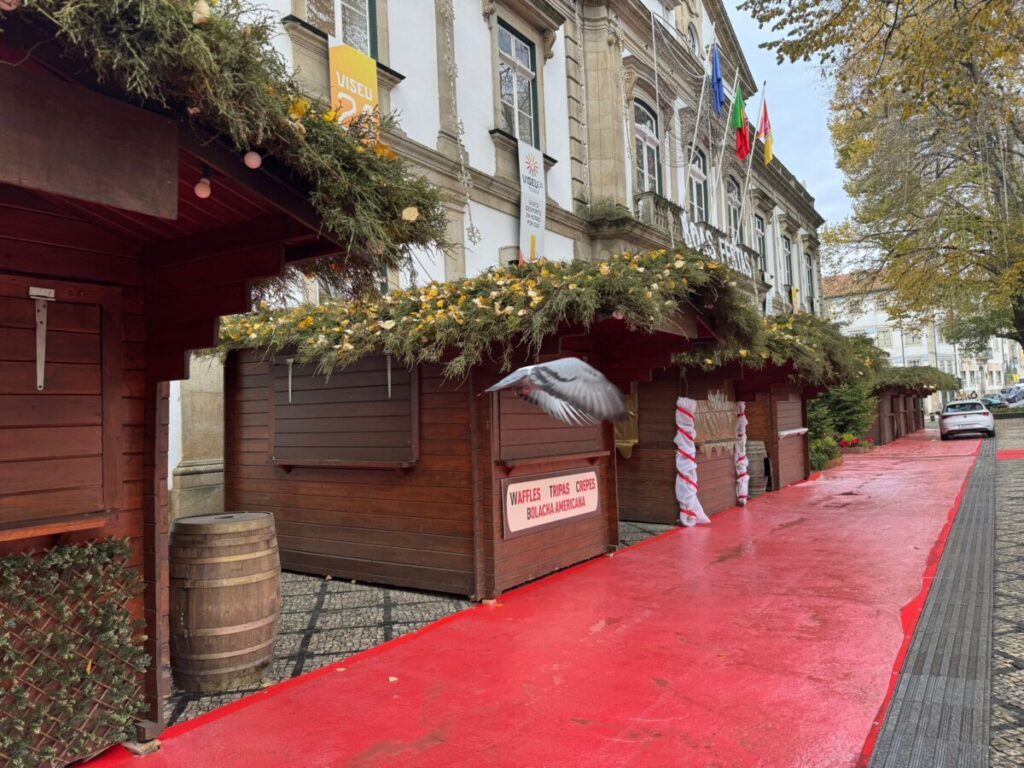  Municípios de Viseu incentivam ao comércio local com campanhas e mercados de Natal - Jornal do Centro