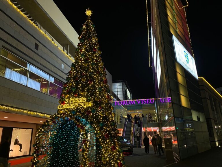 forum viseu natal 2024 5