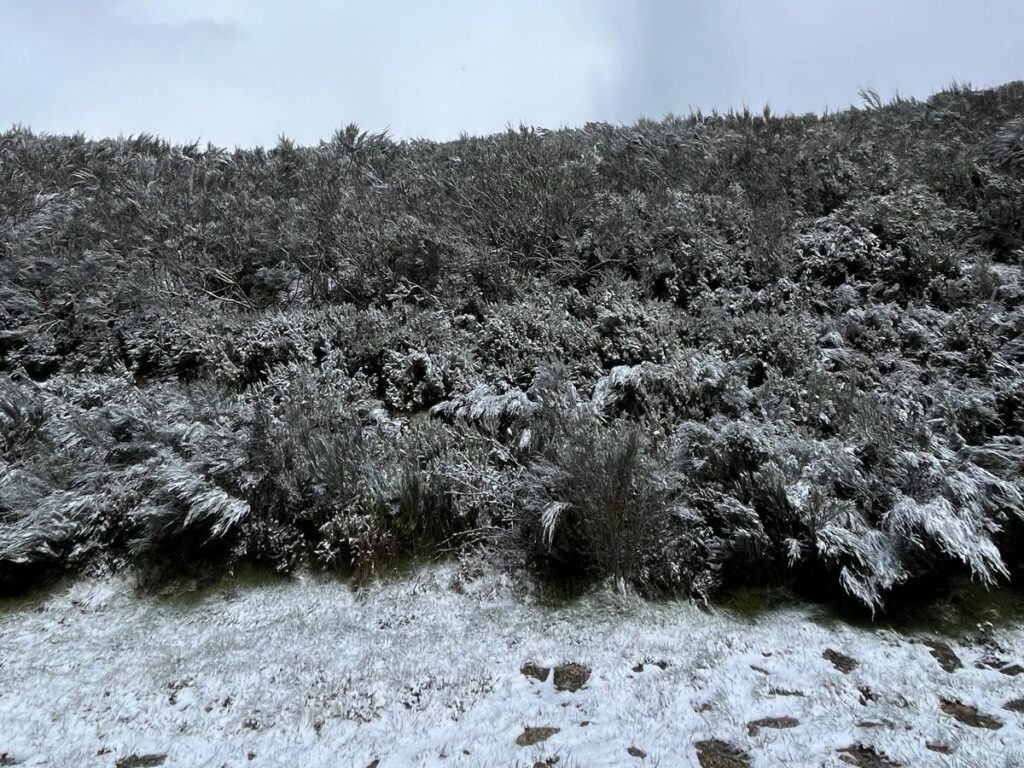  Neve na Serra da Estrela deixa distrito do Guarda sob aviso amarelo - Jornal do Centro