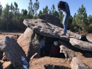 orca_de_forles__7__1_2500_2500