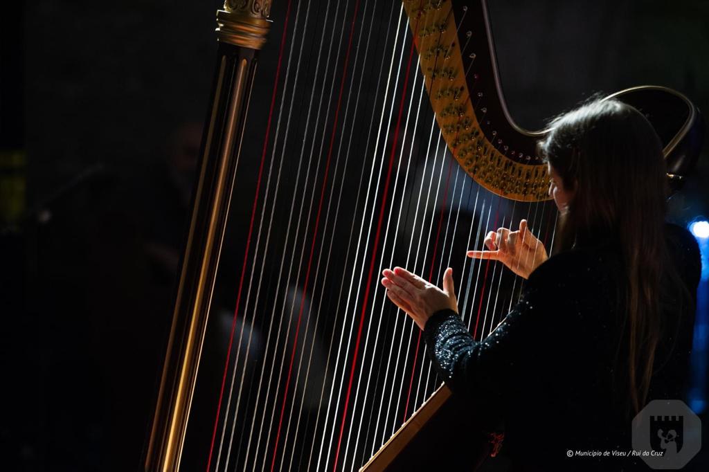  Orquestra Clássica do Centro atua esta quarta-feira no Tribunal de Viseu - Jornal do Centro