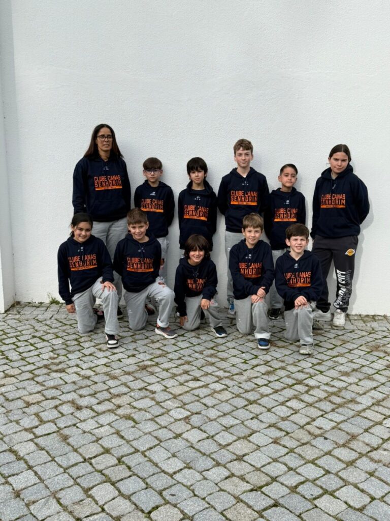  Seleções Distritais de Viseu: Preparação da Festa do Basquetebol Juvenil 2025 - Jornal do Centro