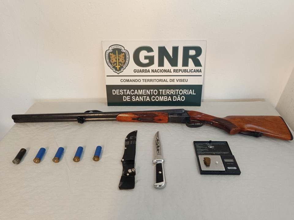  Homens detidos com armas e munições em Carregal do Sal - Jornal do Centro