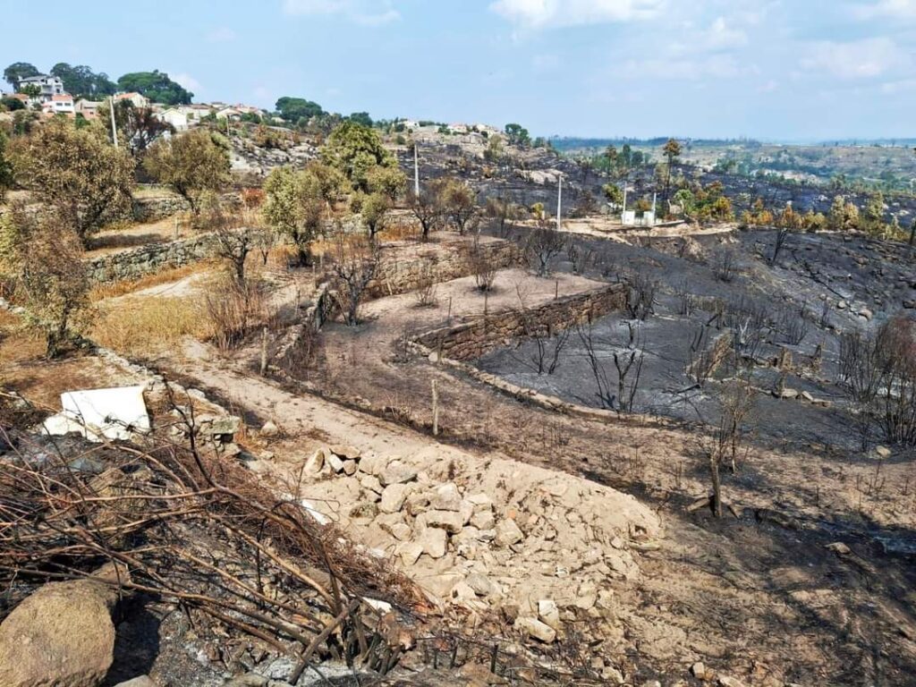  Incêndios: Mangualde e Nelas já receberam totalidade do apoio do Governo - Jornal do Centro