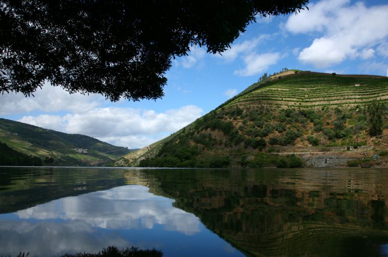  Região celebra o Dia Internacional do Vinho do Porto - Jornal do Centro