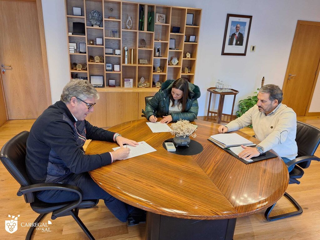  Habitação colaborativa como resposta social em Cabanas de Viriato - Jornal do Centro