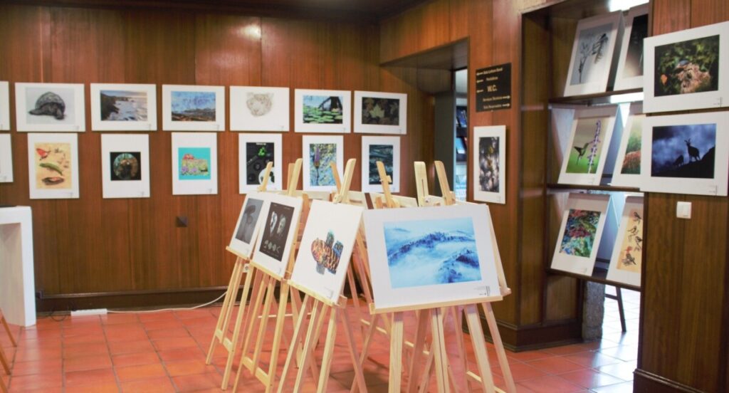  Natureza e biodiversidade em exposição de fotografia na Biblioteca de Santa Comba Dão - Jornal do Centro