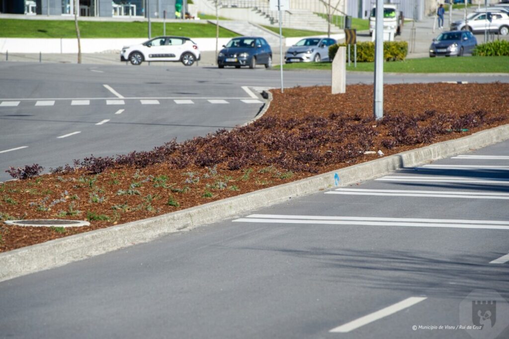  Separadores rodoviários do Palácio do Gelo (Viseu) com nova vegetação para poupar água - Jornal do Centro