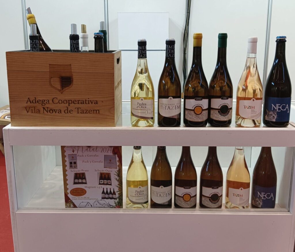  Vinhos de Vila Nova de Tazem recomendados por revista do setor - Jornal do Centro