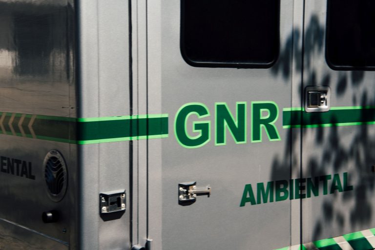 GNR: Fiscalização ao transporte de animais vivos deteta três crimes e 178 contraordenações - Jornal do Centro
