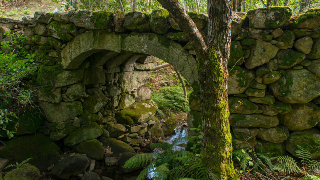  Minas da Moimenta na Serra do Montemuro: um tesouro histórico em pleno coração da natureza - Jornal do Centro