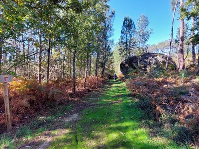  Quer caminhar? Cinco percursos pedestres para descobrir a natureza de Viseu - Jornal do Centro