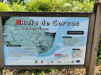  Quer caminhar? Cinco percursos pedestres para descobrir a natureza de Viseu - Jornal do Centro