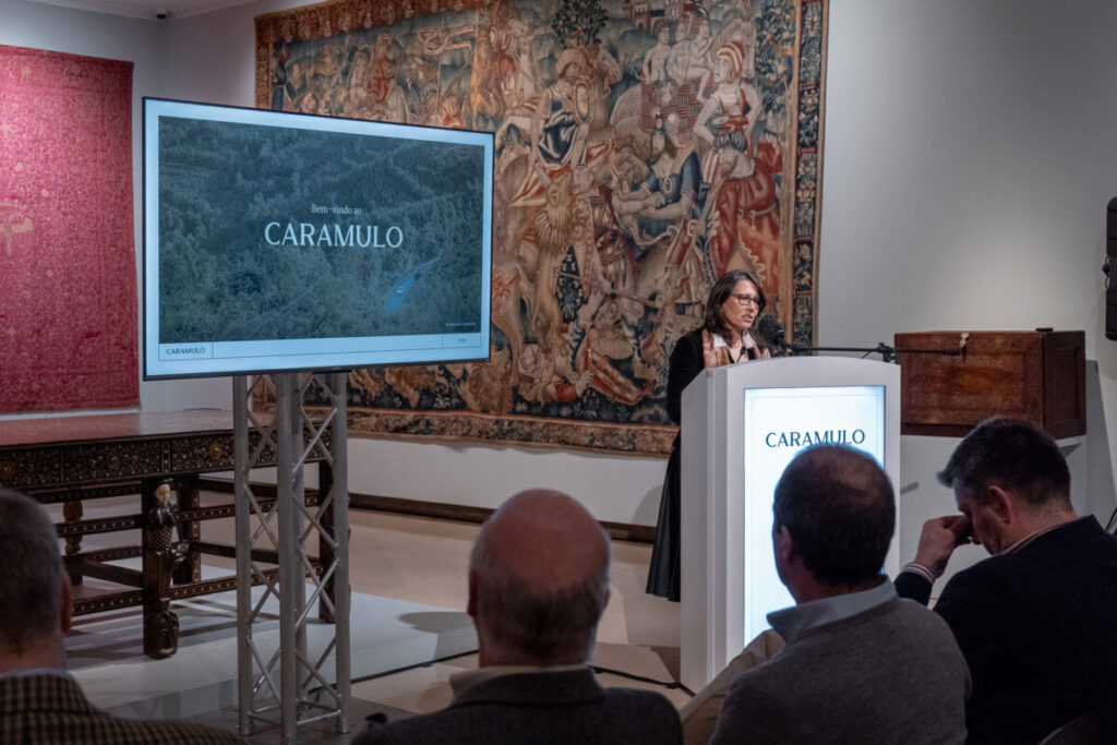 Apresentação posicionamento marca Caramulo 1 Autarca de Tondela quer afirmar o Caramulo no mapa do turismo internacional - Jornal do Centro